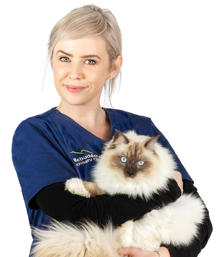 A photo of Janina and her cat.