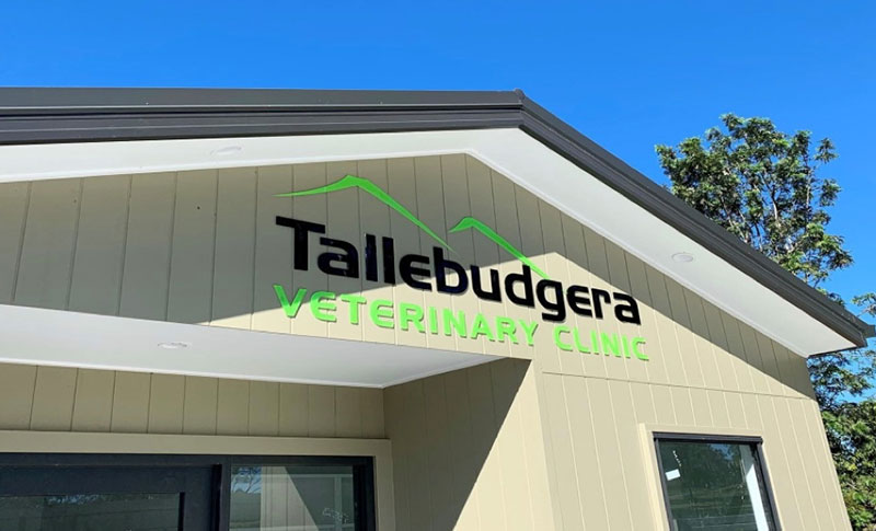 The front entrance of the Tallebudgera Veterinary Clinic at 15 Trees Road, Tallebudgera.