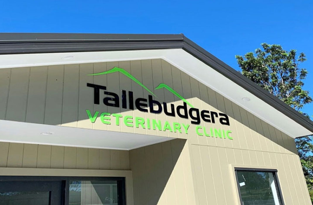 The front entrance of the Tallebudgera Veterinary Clinic at 15 Trees Road, Tallebudgera.
