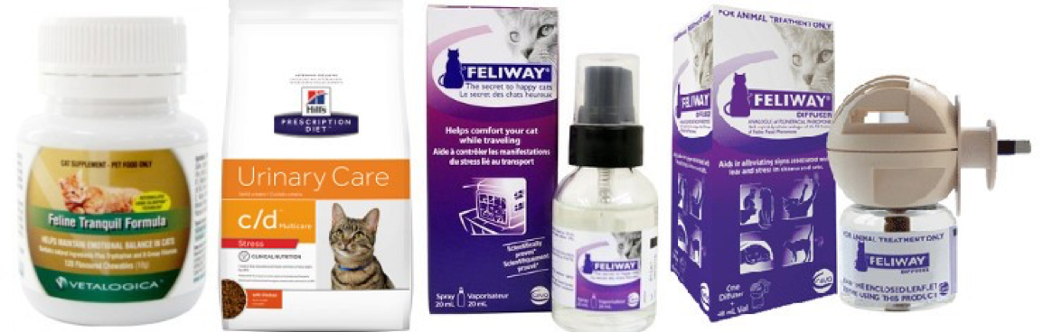 An assortment of cat products recommended by the experts at Tallebudgera Veterinary Clinic.