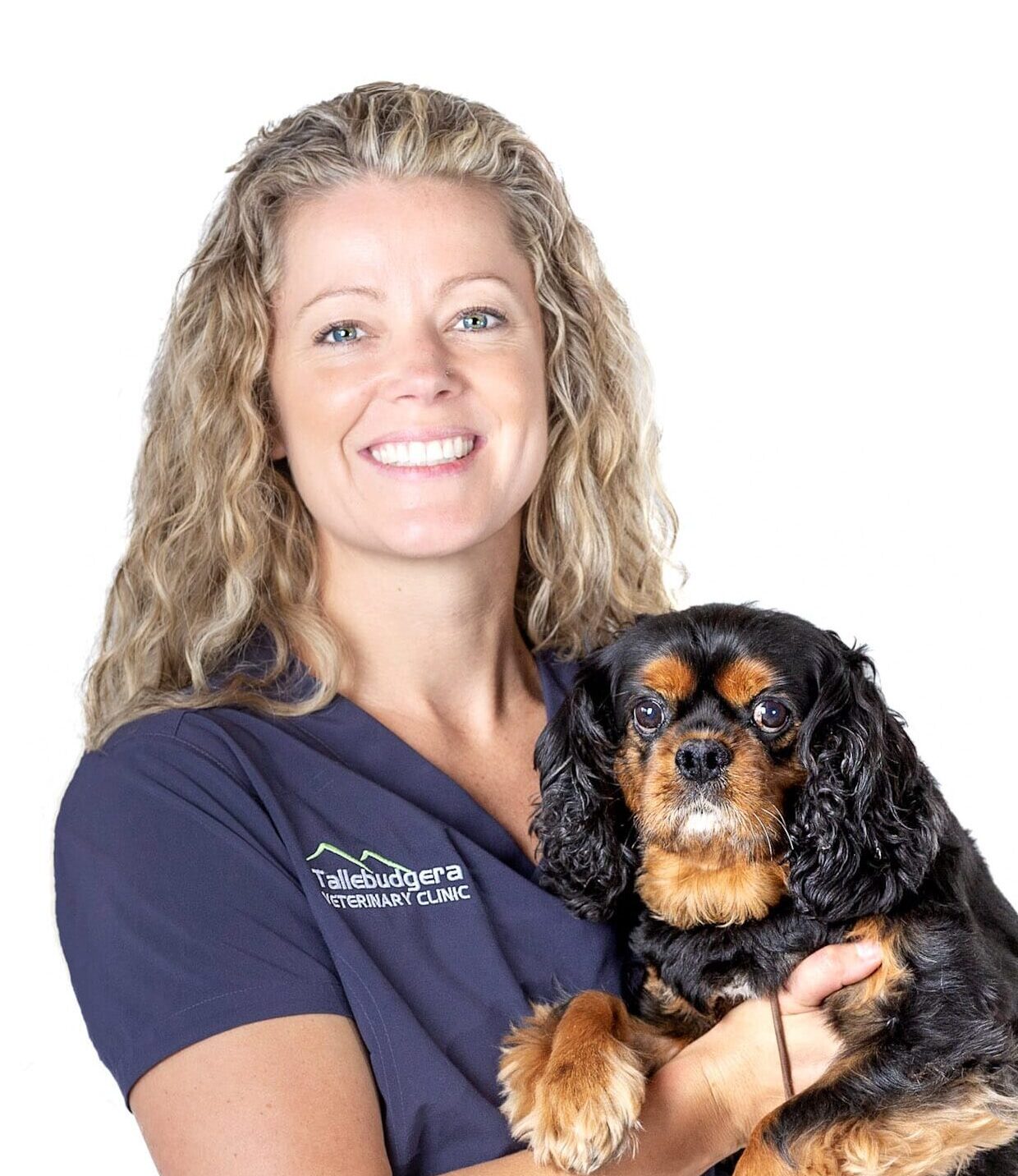 About Us | Tallebudgera Veterinary Clinic | (07) 5522 4566